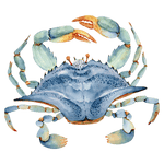 Blue Crab Florida