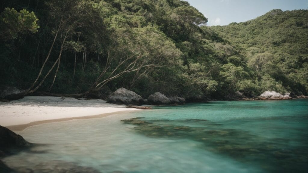A beach with clear water and trees in the background, perfect for eco-tourism.