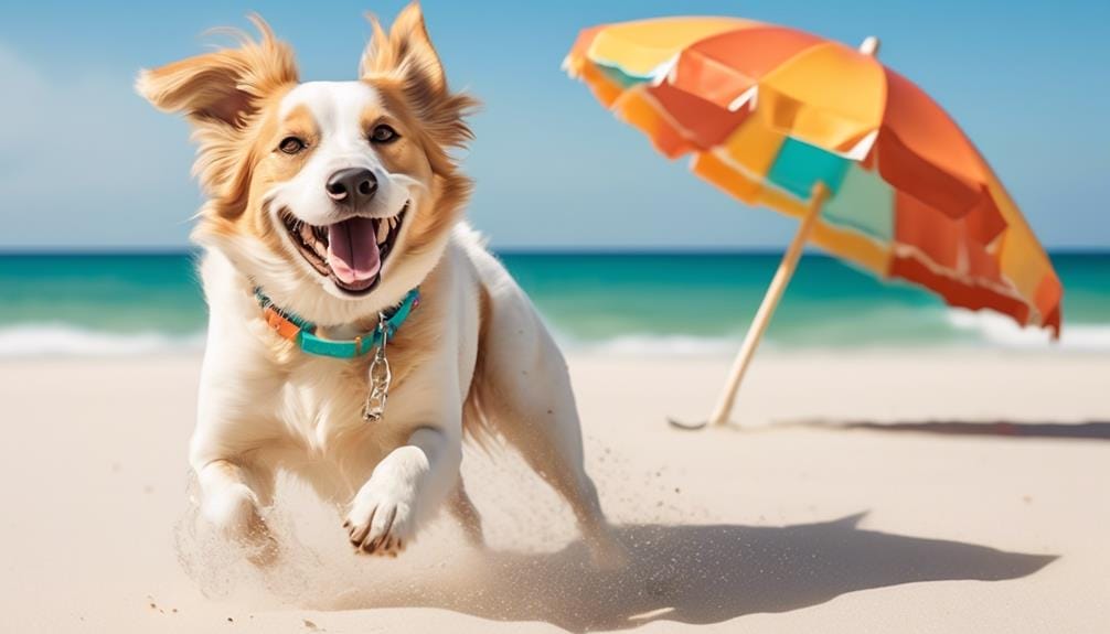 activities for pet owners